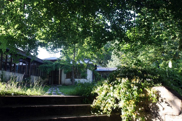 Zazen_TI6_7796_access_wb